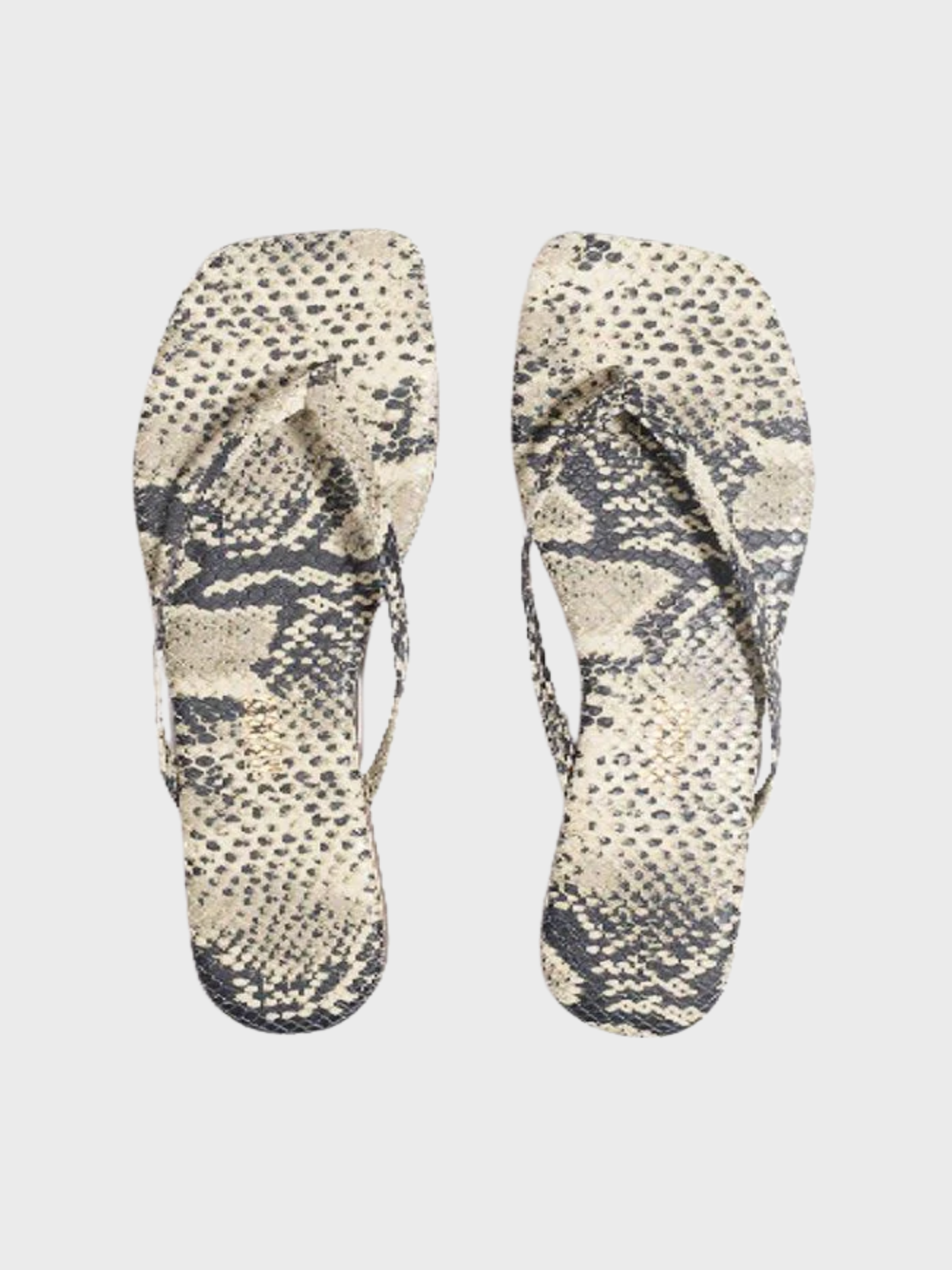 Tkees Square Toe Exotics Sandsnake