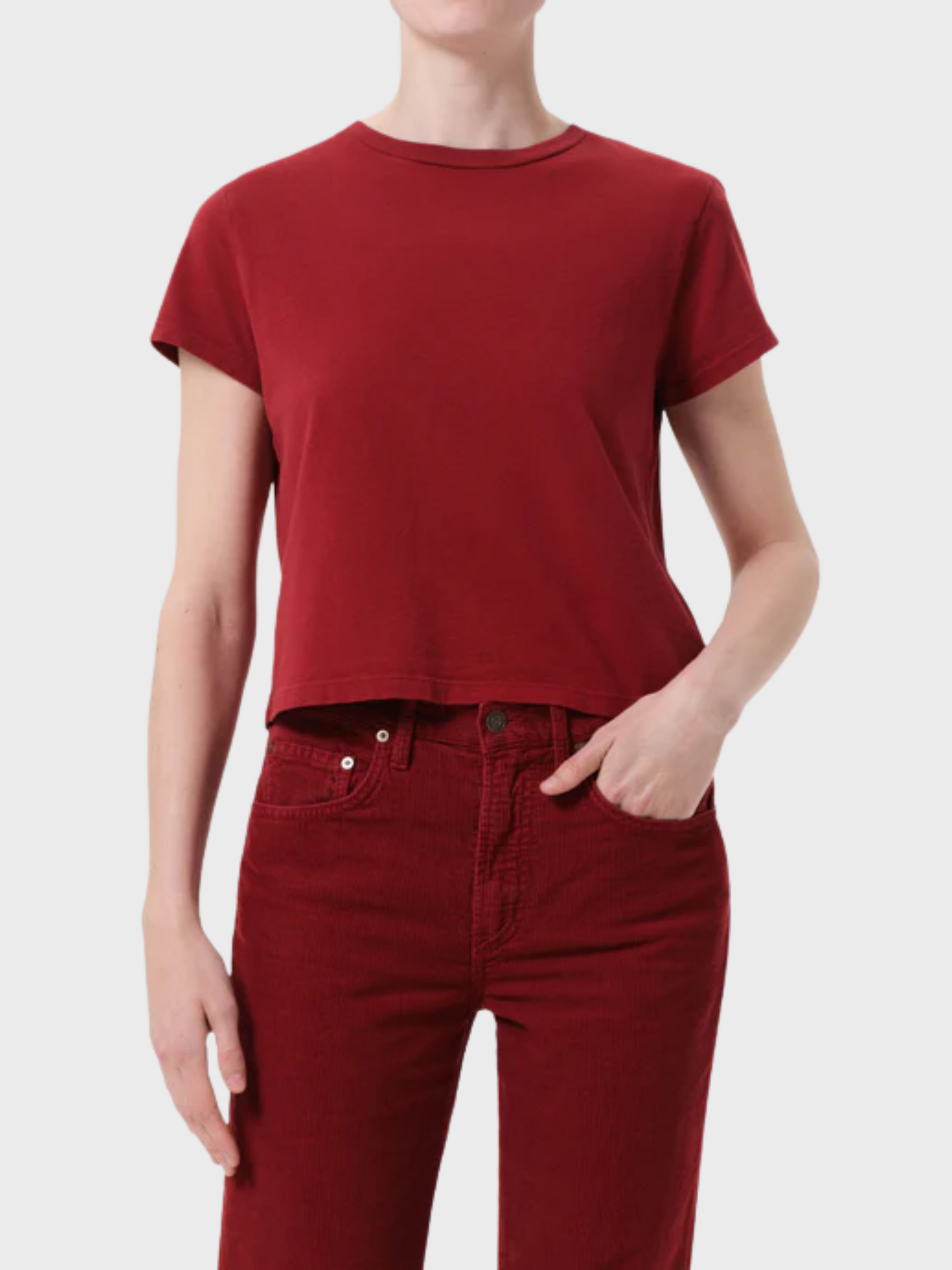 Agolde Adine Shrunken Tee Brick-T-Shirts-West of Woodward Boutique-Vancouver-Canada