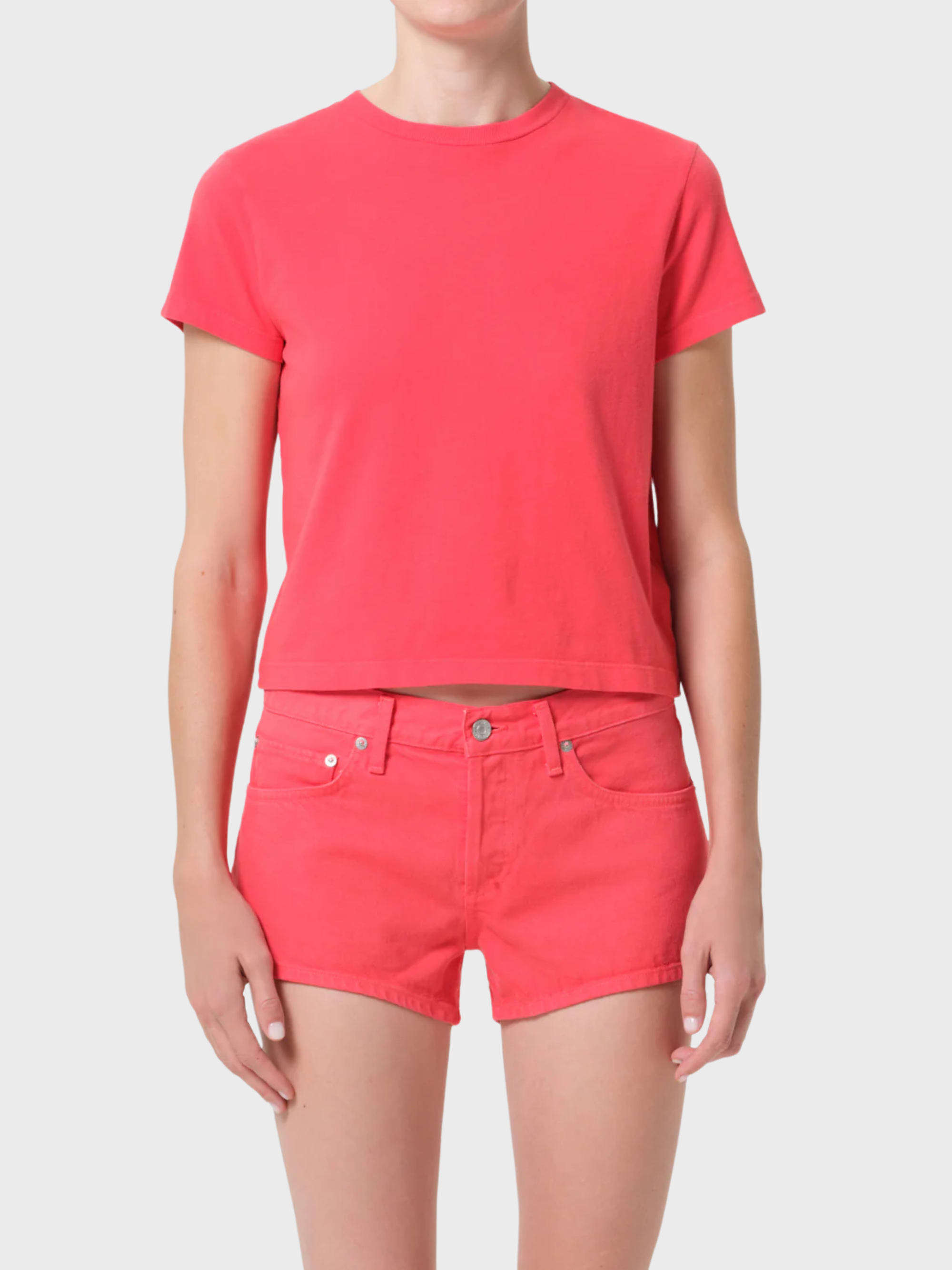 Agolde Adine Shrunken Tee Carnival-T-Shirts-West of Woodward Boutique-Vancouver-Canada